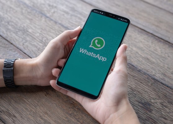 cara melihat chat whatsapp yang sudah lama dihapus