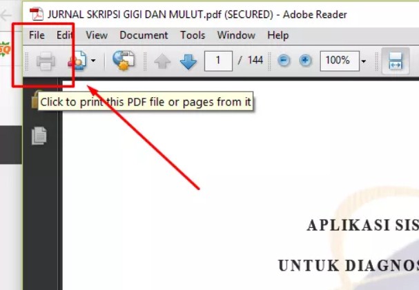 pdf tidak bisa di print